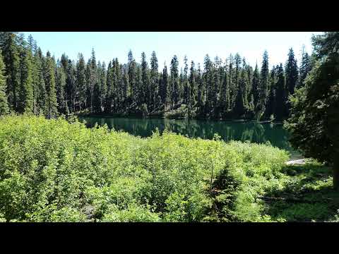 Farming Shturman and maybe tasking