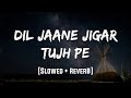 Dil Jaane Jigar Tujh Pe Slowed Reverb LoFi Mood 90 S