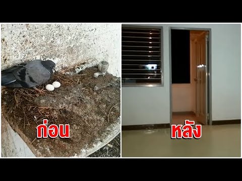 ทำแรงดี พรูค้อนด้วยหิน