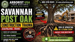Savannah Post Oak Construction Trauma | Southlake, Texas