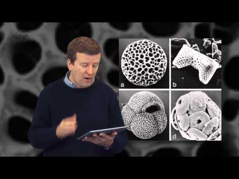 3.3. ASTROBIO - Evidence of Early life on Earth