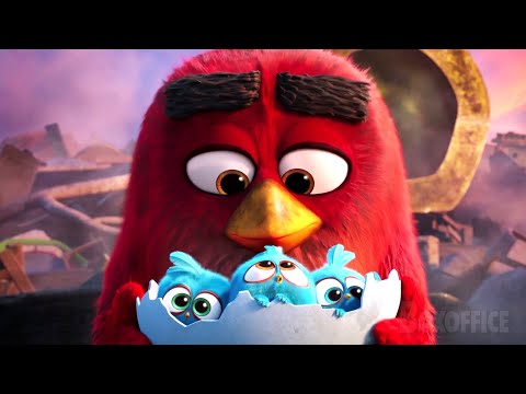 The Angry Birds cutest moments 🌀 4K