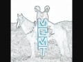 We Care - MGMT 