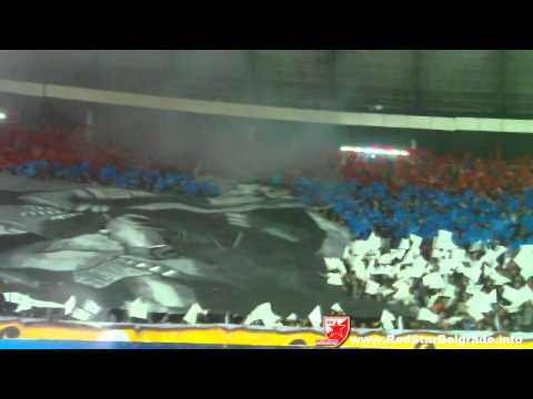 Crvena zvezda - Novi Pazar, koreografija i bakljada Delija