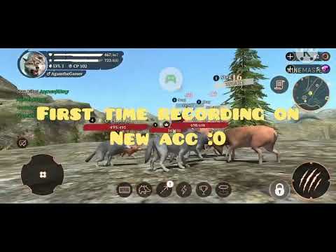 The Wolf - Journey From Level 1 To 75