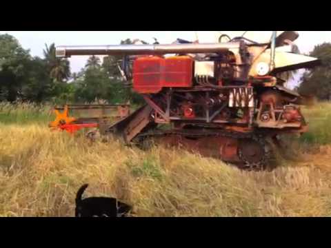 เกี่ยวข้าว GreenHeaven@NongRee