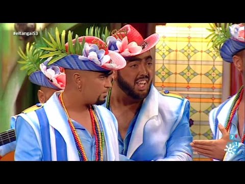 Comparsa. La Guayabera | Los niños juegan, Pasodoble, Semifinales | Carnaval de Cádiz 2016