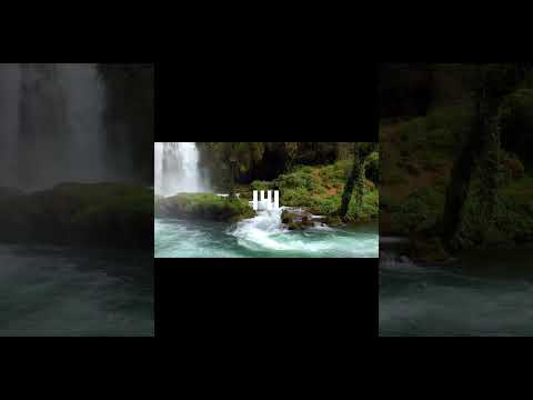 141 #nature #141 #fyp #viral #goviral