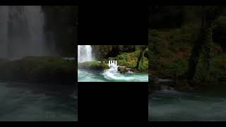 Download lagu 141 #nature #141 #fyp #viral #goviral mp3