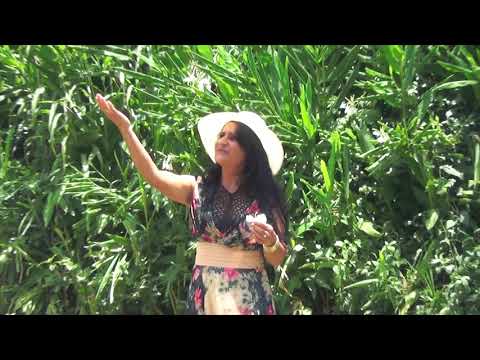 PEQUENO COMO A FLOR - Dora Carvalho