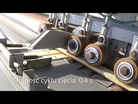 Paul 11 MKL P211014130