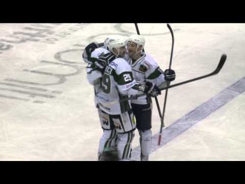 Spielbericht EVL vs. Bietigheim Steelers 28.11.2014