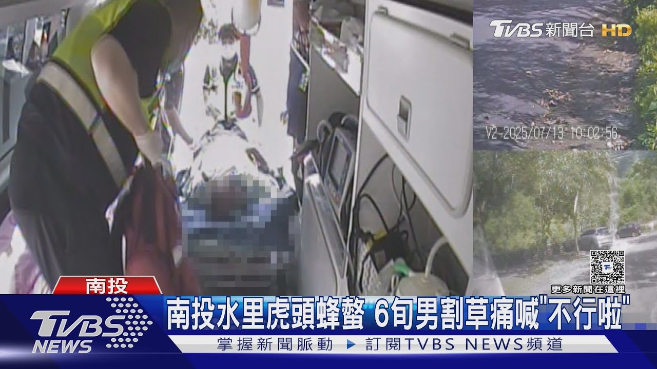割草遇蜂災！67歲翁被虎頭蜂螫　痛喊「不行啦」倒地不起