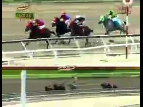 LA RINCONADA 3 CARRERA, SABADO 18 DE JULIO DEL 2015