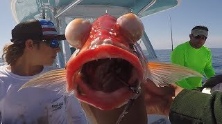 RARE 2 Million Feet Down Yellow Eyes SNAPPER!! Catch and Cook-Best Tasting Fish In The World??