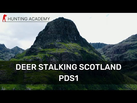 Learn to Hunt Deer in Scotland