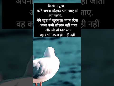 #new #sahri #sort #video