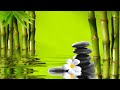 Water Sounds - Relaxing Music and Meditation - Relaxační hudba (Relaxing Music)