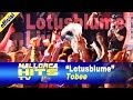 Tobee - Lotusblume - Ballermann Hits 