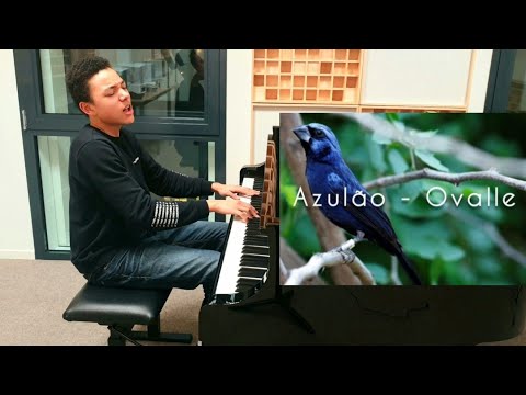 My First Recording As A Tenor/Baritone: Azulão (Ovalle) By Roy van Vugt (15 Years Old)