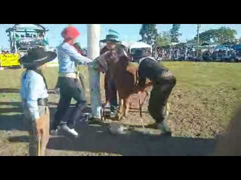 Festival de Jineteadas Campo de Jacobo, San Víctor, Entre Ríos #Campero #Caballos #rodeio #horses