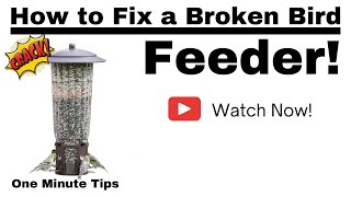HOW TO FIX A BROKEN BIRD FEEDER!-One Minute Tips - Home Repairs -#shorts #shortsvideo #short