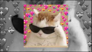 Download lagu Cari Pacar Lagi - ST12 -speedup- mp3