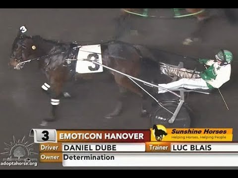 Emoticon Hanover & Daniel Dube wins TVG MARES - FINAL ($175,000) in 1.52,4 at The Meadowlands.