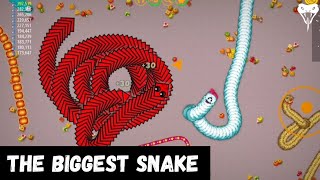 Biggest Comeback in Worm Zone History!🔥👑 #wormzone #gaming #WormZoneChallenge #WorldRecord