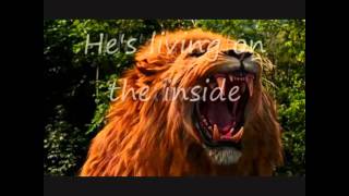 Like A Lion Lyrics-David Crowder