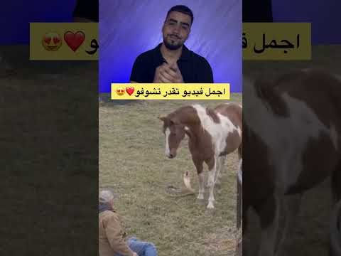 ❤️😍 #اكسبلور #دويتو