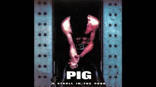 PIG - The Gravy Train (Revisited)