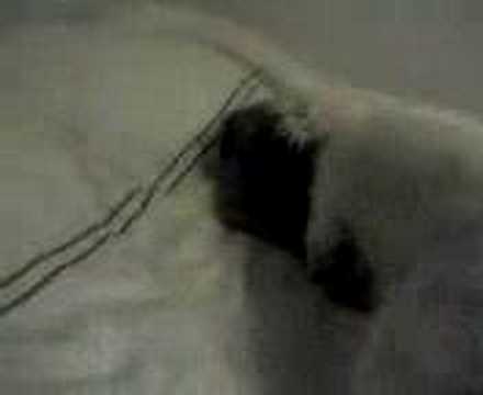 chico and mickey fighting