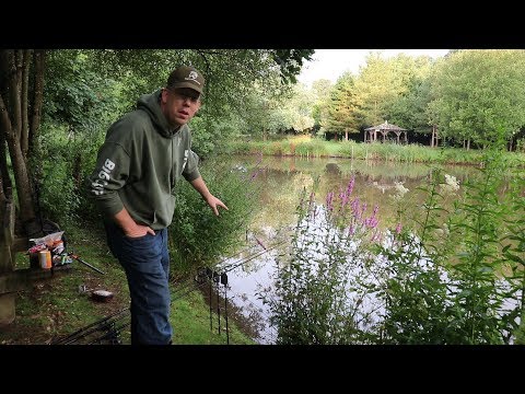 How to Catch Carp in a Small Pond - Carp Fishing England (Baits and Rigs)