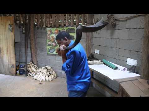 Cow horn Sound - Live Performance