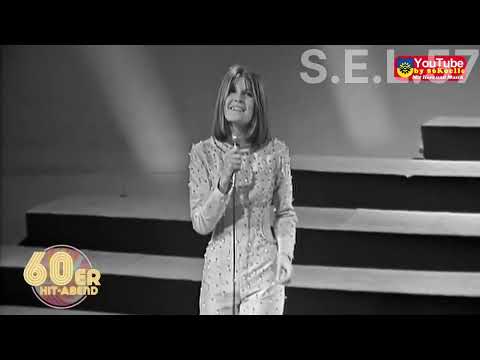 Puppet On A String Live 1967