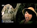 De Alpenzusjes - De Jungledans De Alpenzusjes - De Jungledans