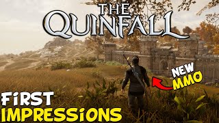 The Quinfall First Impressions Is It Worth Playing