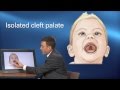Cleft Treatment - Pediatric Playbook - Boston Children's Hospital
