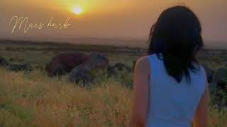 كلمات اغنية انت وانا ميس حرب