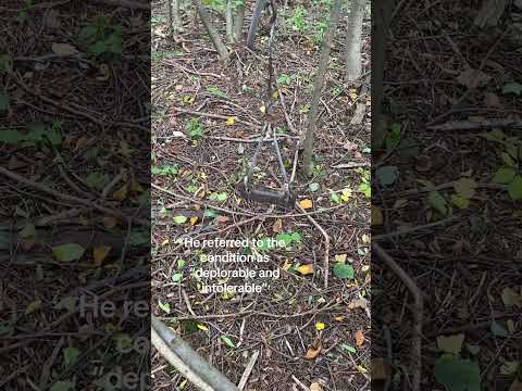 Belchertown State School abandoned Massachusetts