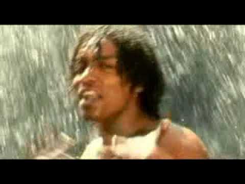 Trioco 3(Peptozor)-Fimer