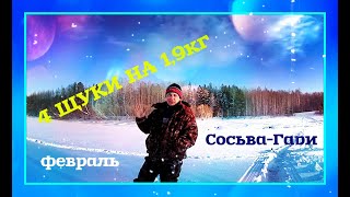 В струев рыбалка на реке сосьва