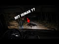 Real Scary Experience In The Jungle Night Drive In Jim Corbett National Park Wildlife Stories