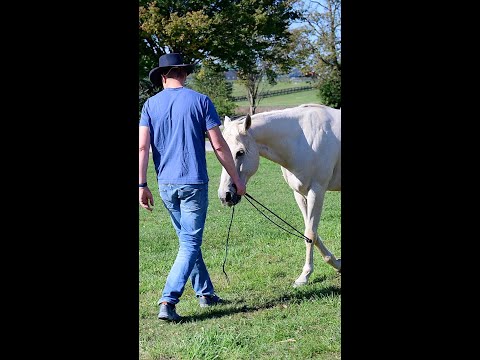 Honza Bláha - Liberty festival Kentucky -  part 3 -  Saturday morning outside arena