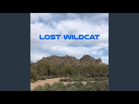 Lost Wildcat