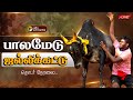 LIVE Palamedu Jallikattu Live பாலமேடு ஜல்லிக்கட்டு Live Madura