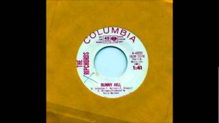 Ripchords - Bunny Hill - 1965 Columbia 43221 (Ref Rip Chords ).wmv