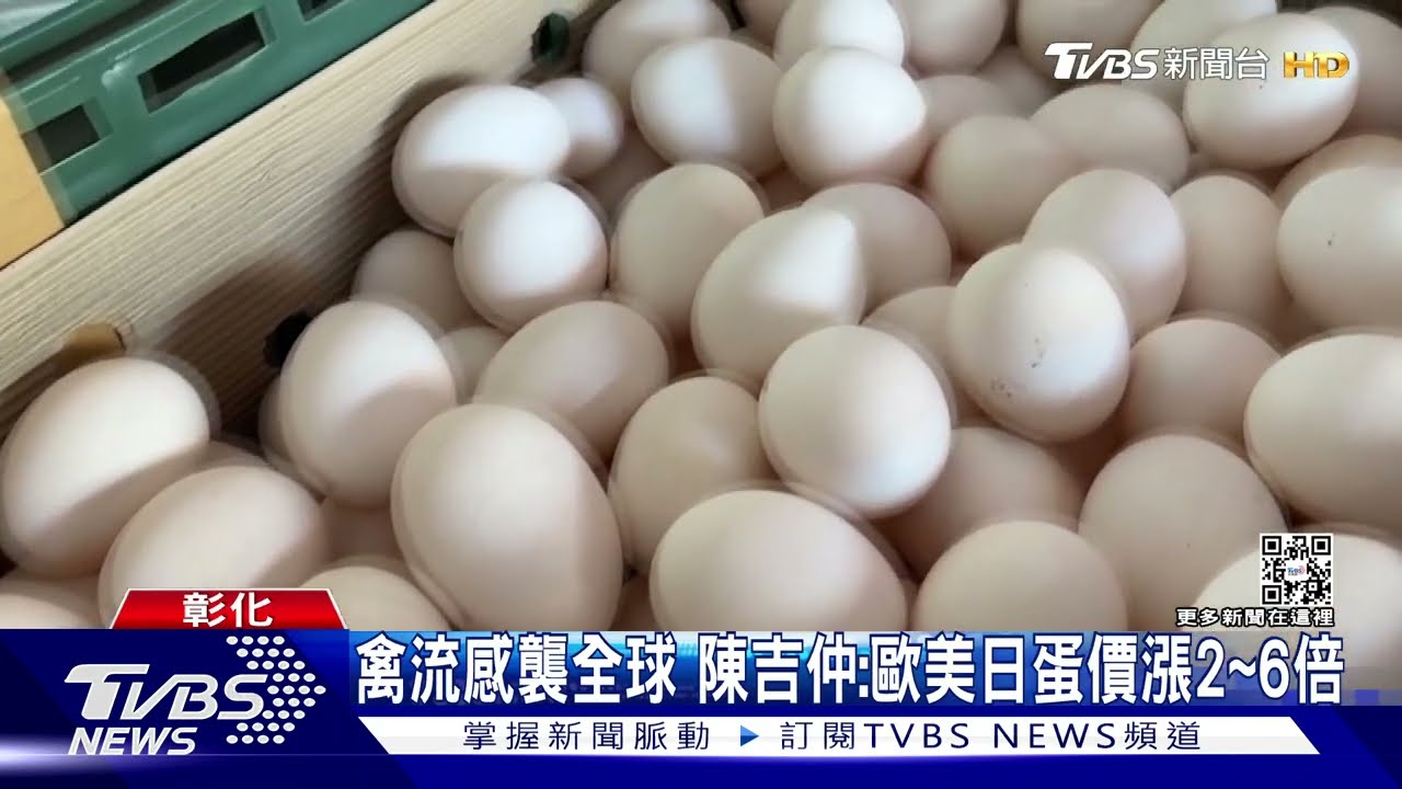 用全球蛋價打預防針? 陳吉仲:歐美日蛋價漲2到6倍 將推平價蛋穩定市場