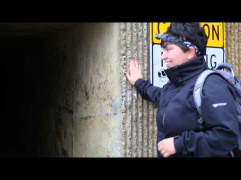 Episode 4 - Emma and Arzoo Go to the Beach